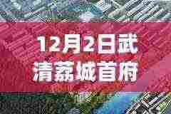 武清荔城首府最新房价走势解析与观点分享