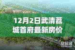 武清荔城首府最新房价走势解析与观点分享