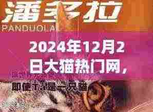 2024年12月2日大猫热门网，大猫热门网独家揭秘2024年科技巅峰之作——未来生活触手可及，全新体验等你来探