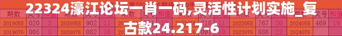 22324濠江论坛一肖一码,灵活性计划实施_复古款24.217-6
