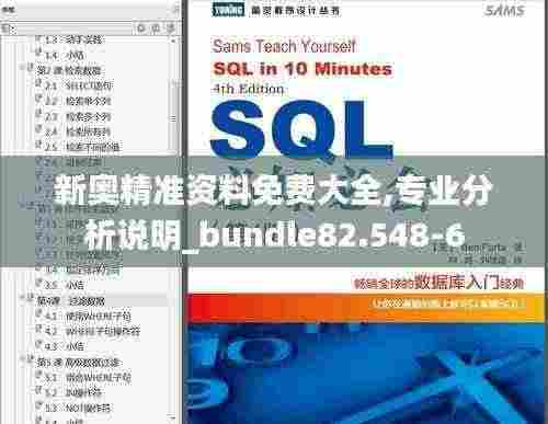 新奥精准资料免费大全,专业分析说明_bundle82.548-6