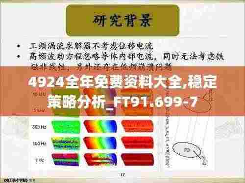 4924全年免费资料大全,稳定策略分析_FT91.699-7