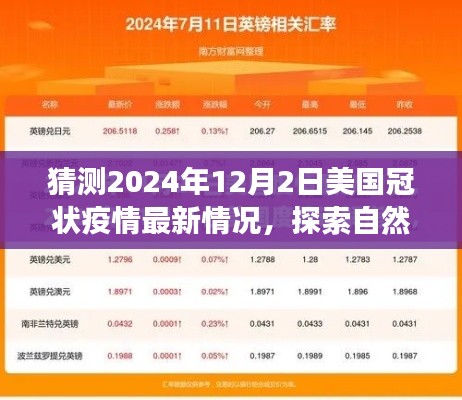 2024年美国疫情预测与旅行探索,寻找内心平静的自然之旅