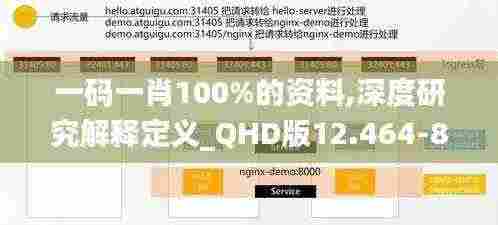 一码一肖100%的资料,深度研究解释定义_QHD版12.464-8