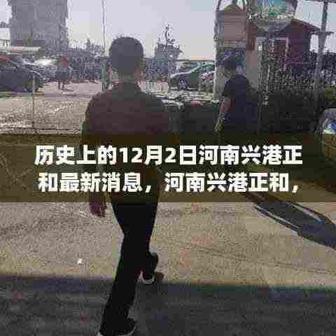 河南兴港正和温馨日常故事，十二月二日的最新消息与故事绽放