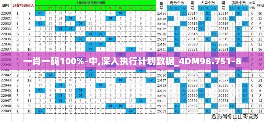 一肖一码100%-中,深入执行计划数据_4DM98.751-8