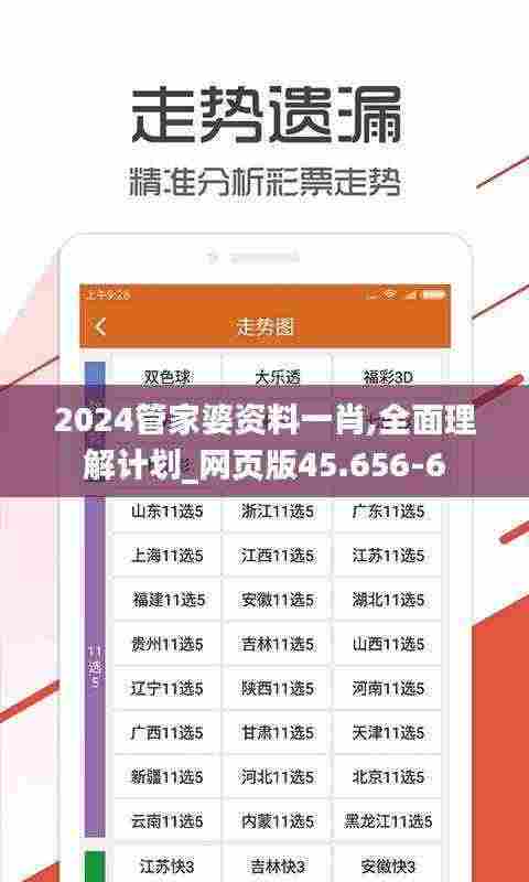 2024管家婆资料一肖,全面理解计划_网页版45.656-6