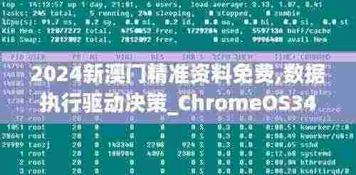 2024新澳门精准资料免费,数据执行驱动决策_ChromeOS34.867-4