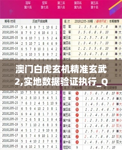 澳门白虎玄机精准玄武2,实地数据验证执行_QHD25.874-5