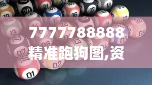 7777788888精准跑狗图,资源策略实施_S164.325-1