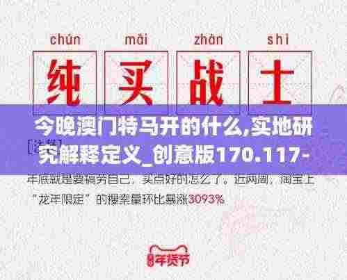 今晚澳门特马开的什么,实地研究解释定义_创意版170.117-3