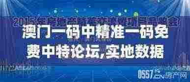 澳门一码中精准一码免费中特论坛,实地数据验证实施_watchOS48.267-6