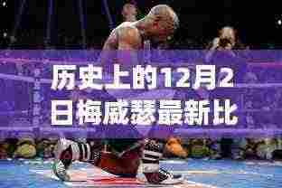 物离乡贵 第5页