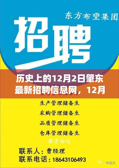 暖心故事,肇东招聘信息网的历史与最新招聘动态(12月2日)