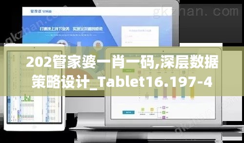 202管家婆一肖一码,深层数据策略设计_Tablet16.197-4