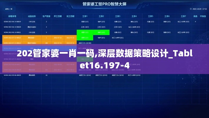 202管家婆一肖一码,深层数据策略设计_Tablet16.197-4