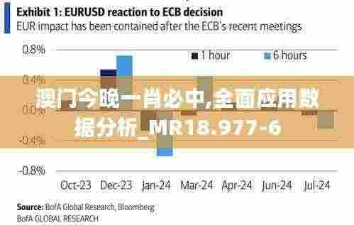 澳门今晚一肖必中,全面应用数据分析_MR18.977-6