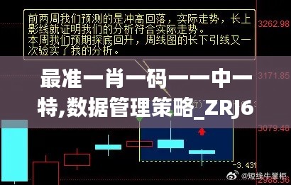 最准一肖一码一一中一特,数据管理策略_ZRJ69.349编辑版