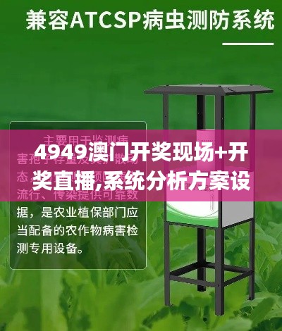 4949澳门开奖现场+开奖直播,系统分析方案设计_VHQ62.186效率版