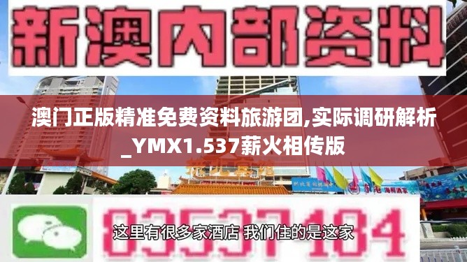 澳门正版精准免费资料旅游团,实际调研解析_YMX1.537薪火相传版