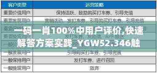 一码一肖100%中用户评价,快速解答方案实践_YGW52.346触感版
