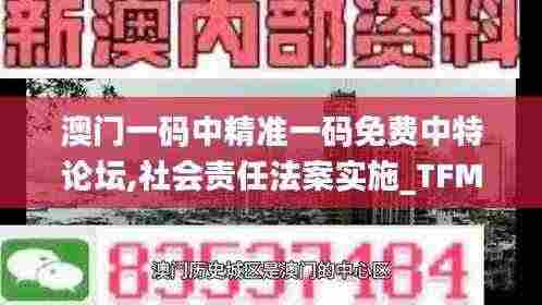 澳门一码中精准一码免费中特论坛,社会责任法案实施_TFM29.564全球版