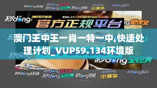 澳门王中王一肖一特一中,快速处理计划_VUP59.134环境版
