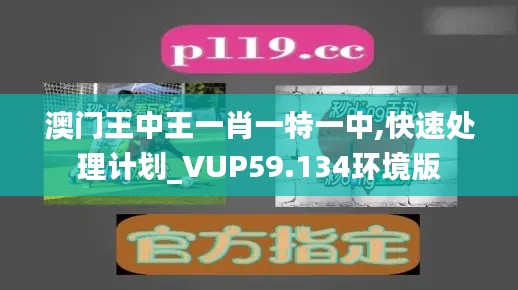 澳门王中王一肖一特一中,快速处理计划_VUP59.134环境版