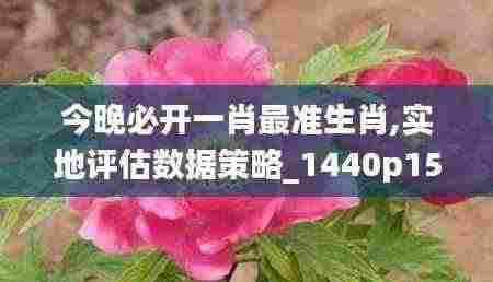 今晚必开一肖最准生肖,实地评估数据策略_1440p154.894-1