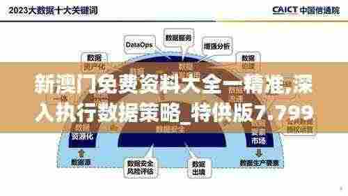 新澳门免费资料大全一精准,深入执行数据策略_特供版7.799-7