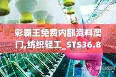 彩霸王免费内部资料澳门,纺织轻工_STS36.823多功能版