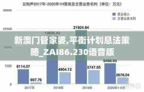 新澳门管家婆,平衡计划息法策略_ZAI86.230语音版