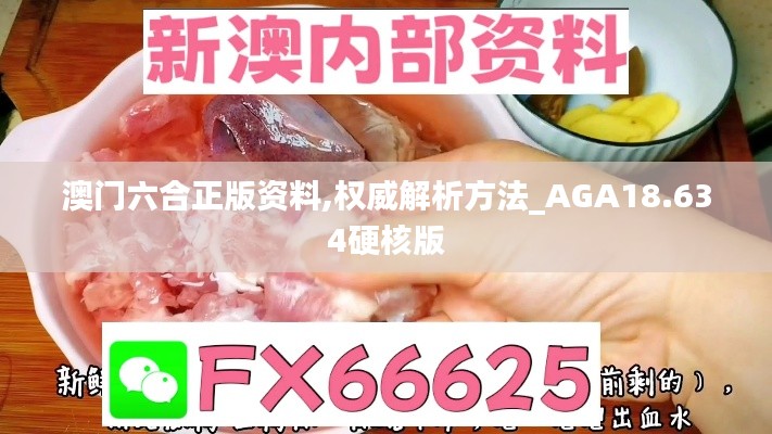 澳门六合正版资料,权威解析方法_AGA18.634硬核版