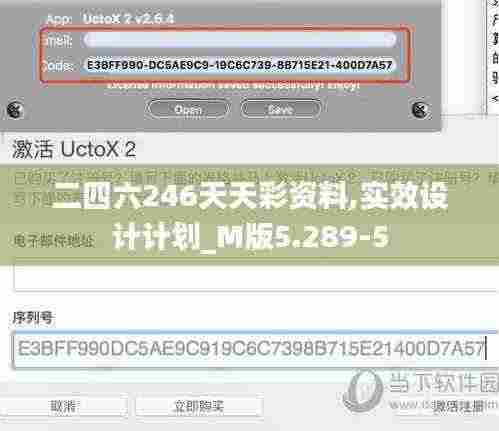 二四六246天天彩资料,实效设计计划_M版5.289-5
