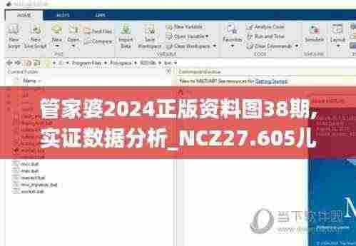 管家婆2024正版资料图38期,实证数据分析_NCZ27.605儿童版