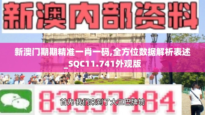 新澳门期期精准一肖一码,全方位数据解析表述_SQC11.741外观版