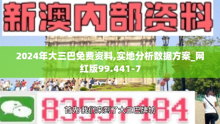 2024年大三巴免费资料,实地分析数据方案_网红版99.441-7