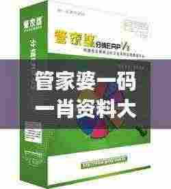 管家婆一码一肖资料大全四柱预测,创新策略执行_LIY38.284设计师版