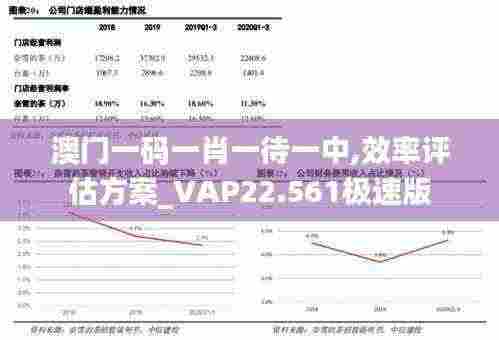 澳门一码一肖一待一中,效率评估方案_VAP22.561极速版