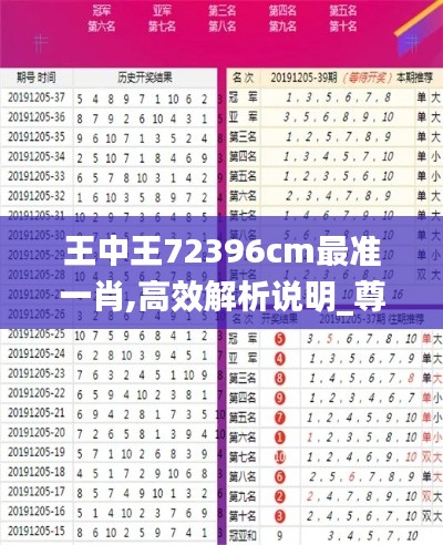 王中王72396cm最准一肖,高效解析说明_尊贵版66.768-3