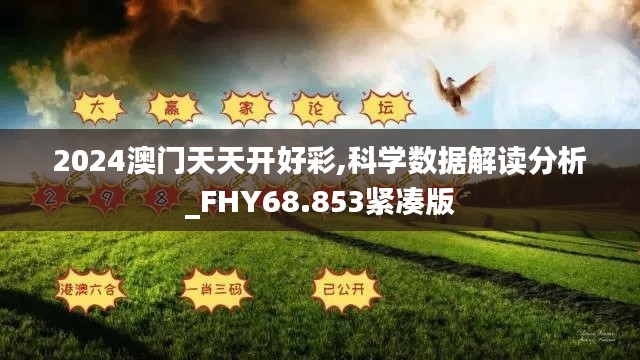 2024澳门天天开好彩,科学数据解读分析_FHY68.853紧凑版