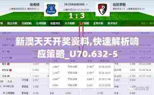 新澳天天开奖资料,快速解析响应策略_U70.632-5