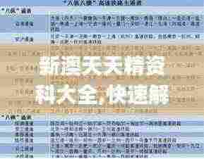 新澳天天精资科大全,快速解答计划解析_理财版12.716-5