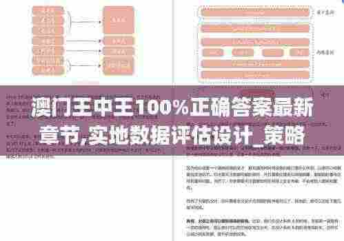 澳门王中王100%正确答案最新章节,实地数据评估设计_策略版68.244-4