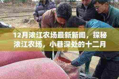 浓江农场十二月惊喜之星,田园小憩最新报道
