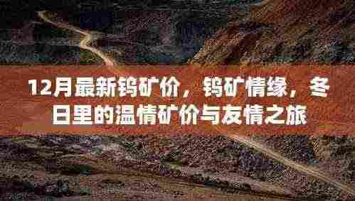 钨矿情缘,十二月最新矿价与冬日温情之旅