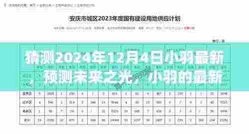 小羽最新动态及未来预测,以2024年12月4日为观察点的未来之光影响分析