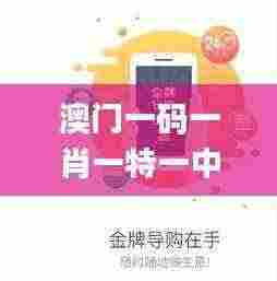 澳门一码一肖一特一中管家婆,快速解答计划设计_LE版62.270-2