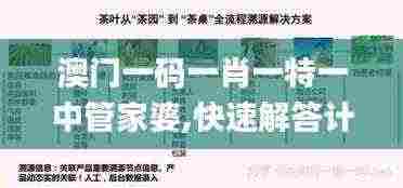 澳门一码一肖一特一中管家婆,快速解答计划设计_LE版62.270-2