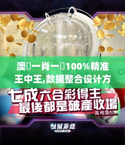 澳門一肖一碼100%精准王中王,数据整合设计方案_豪华款67.349-2